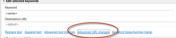 AdWords Editor allows advanced URL changes.