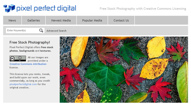 Pixel Perfect Digital